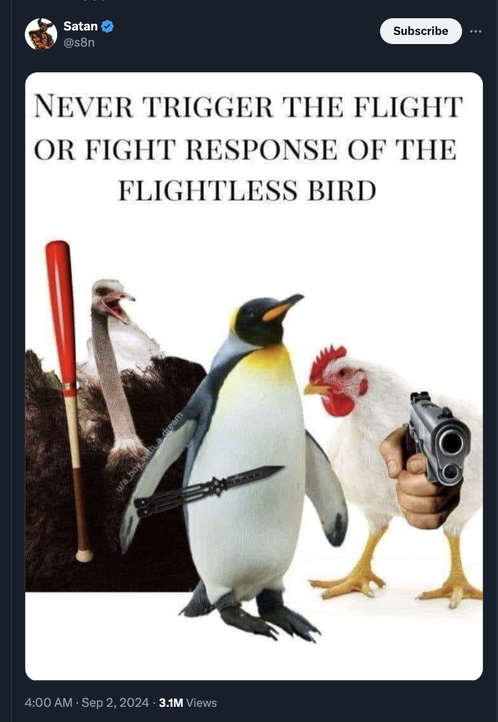 fight or flight flightless bird - Satan n Subscribe Never Trigger The Flight Or Fight Response Of The Flightless Bird 3.1M Views